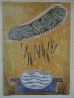 Lon Buttstedt - Grote ingelijste litho "Yemeni eyes make salt water" perfect ingelijst kopen? Bied vanaf 70!