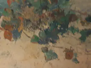 Gerrit Polder - Kruipende struik kopen? Bied vanaf 65!