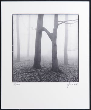 Ralph Janowski - Mooie zwart/wit print, Bos kopen? Bied vanaf 1!