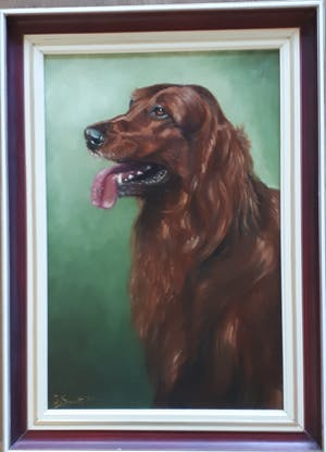 Niet of onleesbaar gesigneerd - Ierse Setter kopen? Bied vanaf 1!