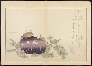 Kitagawa Utamaro - Houtdruk, Slak en krekel op aubergine kopen? Bied vanaf 35!