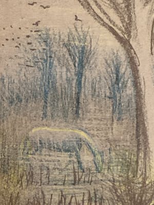 Kees Andrea - Kleuren litho fluitspeler kopen? Bied vanaf 45!