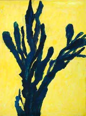 Hans Ebeling Koning - cactus verkocht voor € 50!