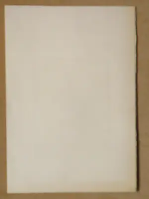 Willem Snitker - Zonder titel kopen? Bied vanaf 40!