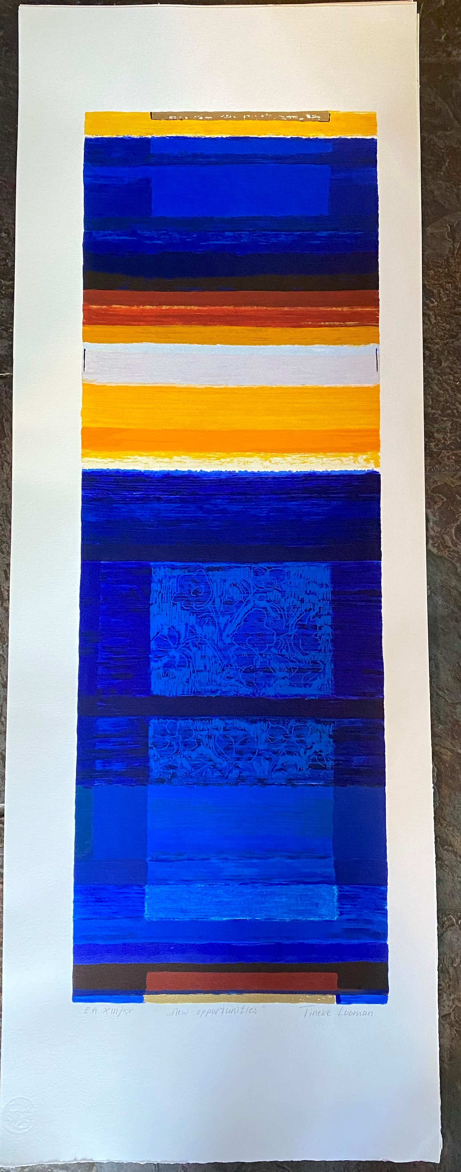 Tineke Looman - New opportunities kopen? Bied vanaf 30!