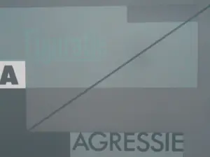 Jouke Kleerebezem - zonder titel kopen? Bied vanaf 25!