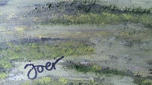 Joost Erftemeijer - Green land kopen? Bied vanaf 135!