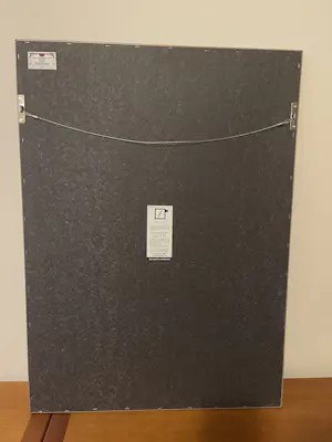 Joost Swarte - The Future of Piet Mondriaan kopen? Bied vanaf 225!