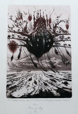 Albin Brunovsky - but where would we fly from this frozen planet then ? kopen? Bied vanaf 300!