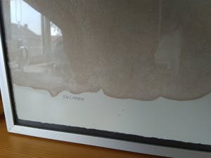 Bruno Bruni - Serie Florilegium (3 werken) kopen? Bied vanaf 120!