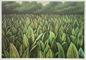 Jean Paul Vroom - kleurenlitho - 'Mei-vallei Praslin' - 1986 kopen? Bied vanaf 100!