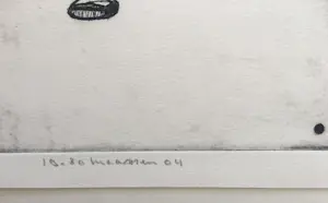 Reinier Lucassen - The Beginning of an Undefined Sound kopen? Bied vanaf 95!