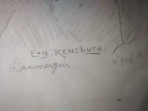 Eugene Rensburg - Lammergier. kopen? Bied vanaf 59!