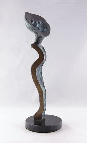 Desiree Tonnaer - Brons, Porteur de graines kopen? Bied vanaf 350!