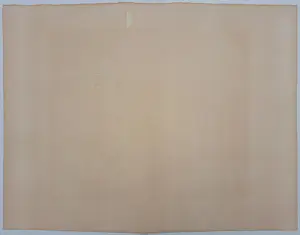 Corneille - Rose tropique kopen? Bied vanaf 250!