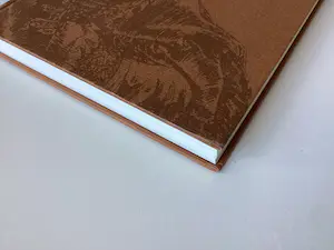 Rembrandt van Rijn - Etchings - boek kopen? Bied vanaf 50!