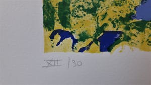 Jeroen Krabbe - 2 zeefdrukken kopen? Bied vanaf 950!