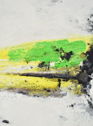 Nico Molenkamp - Vogel kopen? Bied vanaf 100!