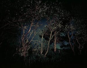 Martin Effert - Zonder Titel. Nr. kopen? Bied vanaf 50!