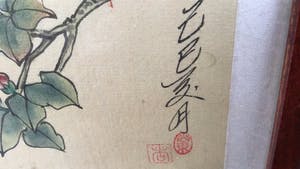Niet of onleesbaar gesigneerd - Paradijsvogels kopen? Bied vanaf 1!