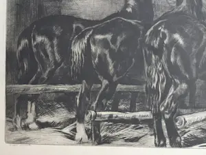 Kuno Brinks - Zwarte paarden. Eigen druk. kopen? Bied vanaf 89!