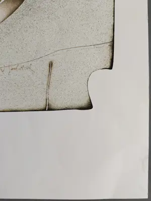 Vladimir Suchanek - gesigneerde litho kopen? Bied vanaf 79!