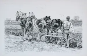 Kuno Brinks - Ploeger kopen? Bied vanaf 75!