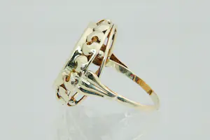 84 - Grote 14krt geel gouden ring met 5 gulden Wilhelmina (naslag) munt kopen? Bied vanaf 290!