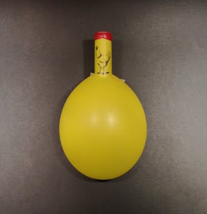 Dick Lion - Advocaatfles in origineel kistje kopen? Bied vanaf 1!