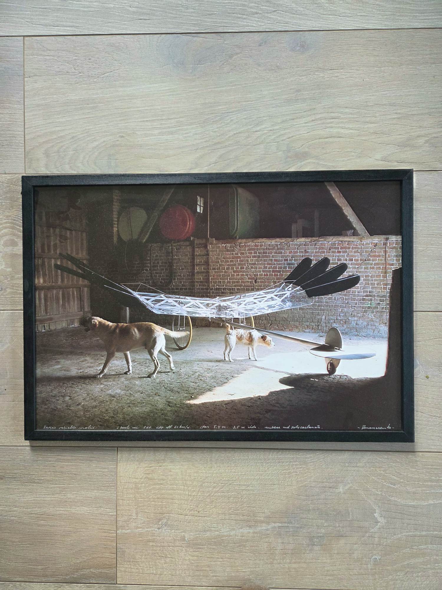 Panamarenko - Raven's variable matrix kopen? Bied vanaf 100!