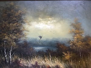 Niet of onleesbaar gesigneerd - Vreemde vogel. kopen? Bied vanaf 1!