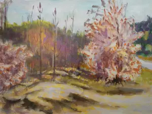 Jan Altink - Heidelandschap te Groningen kopen? Bied vanaf 1000!