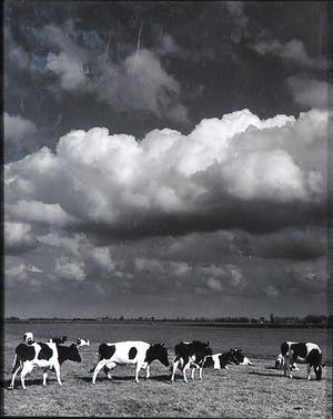 Paul Huf - Foto, lot van twee los ingelijste landschapsfoto's kopen? Bied vanaf 1!