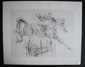 Piet Klaasse - map met 6 litho's paardendraverij kopen? Bied vanaf 50!