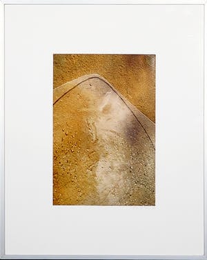 Dia Postma - Foto, Zonder titel- Ingelijst kopen? Bied vanaf 1!