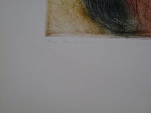 Sam Parabirsingh - POSE DU SOLEIL MET EUROSIENTJE/ POSE DU SOLEIL MET ZWAARDVIS kopen? Bied vanaf 75!