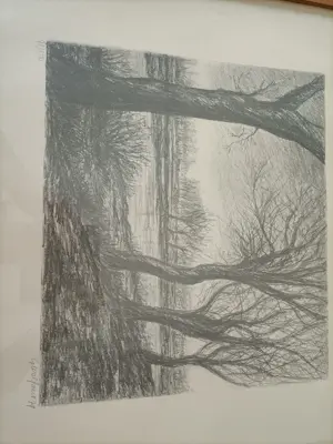 Guido Louis Wolfaert - natuurlandschap kopen? Bied vanaf 75!