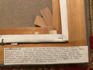 Jan Hoogsteyns - Het Haantje kopen? Bied vanaf 95!