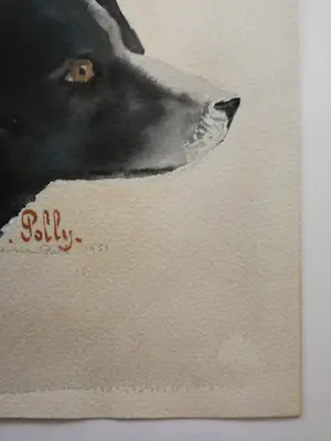 Jan van Riel - Hond. 'Polly'. 1951 kopen? Bied vanaf 69!