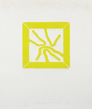 Ton van Summeren - Zeefdruk, Mitose - Ingelijst kopen? Bied vanaf 10!