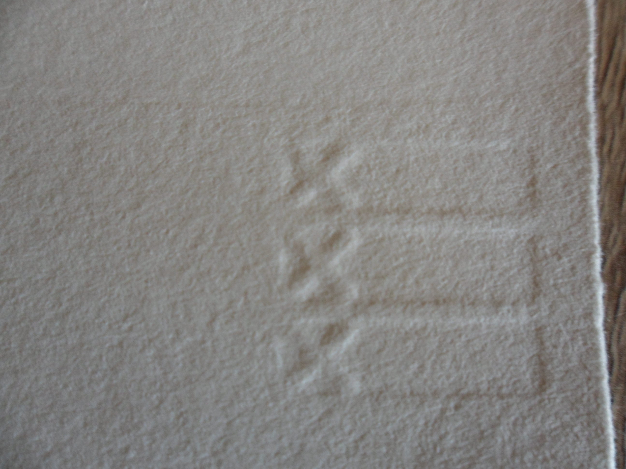 Ko Aarts - Zeefdruk, Titel: "Finishing touch". kopen? Bied vanaf 30!