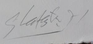 Ger Lataster - Litho - 1971 kopen? Bied vanaf 75!