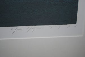 Hans Heijman - Landschap Vleugeldijk - grote kleurets oplage 60 ex. kopen? Bied vanaf 90!