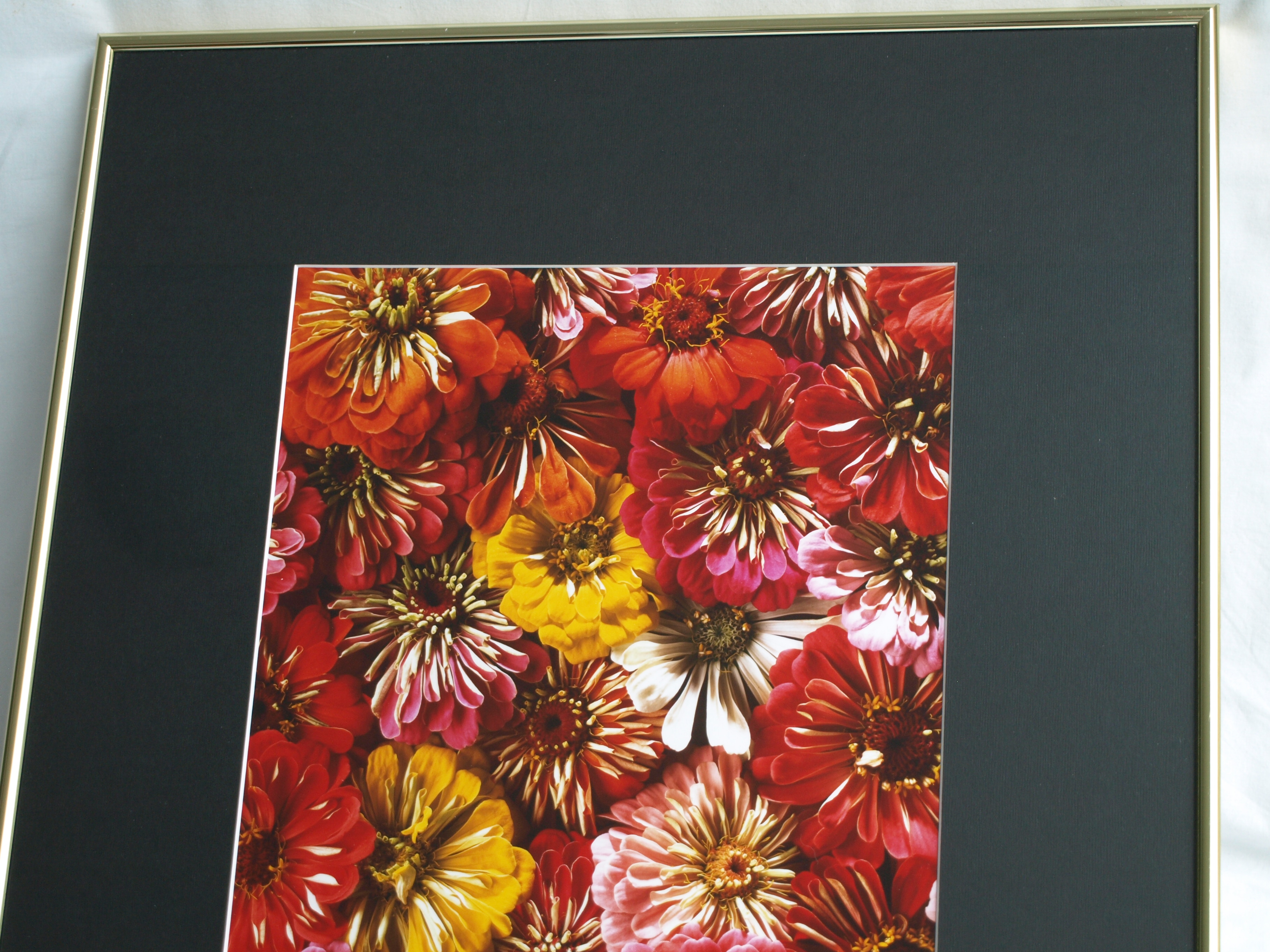 Paul Huf - Foto , Flowers , Bloemen – gesigneerd & ingelijst - 1984 - 60 x 50 cm kopen? Bied vanaf 75!