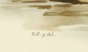 Wilhelm von Wright - Litho, Stercorarius Pomarinus, uit Svenska foglar (...) kopen? Bied vanaf 1!