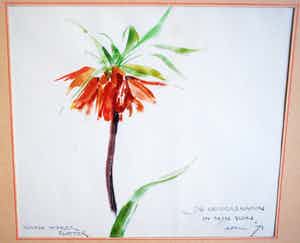 Maria Hofker - Rueter - Keizerskroon - aquarel 1971 - plus 2 boeken, 1x gesigneerd verkocht voor € 85!