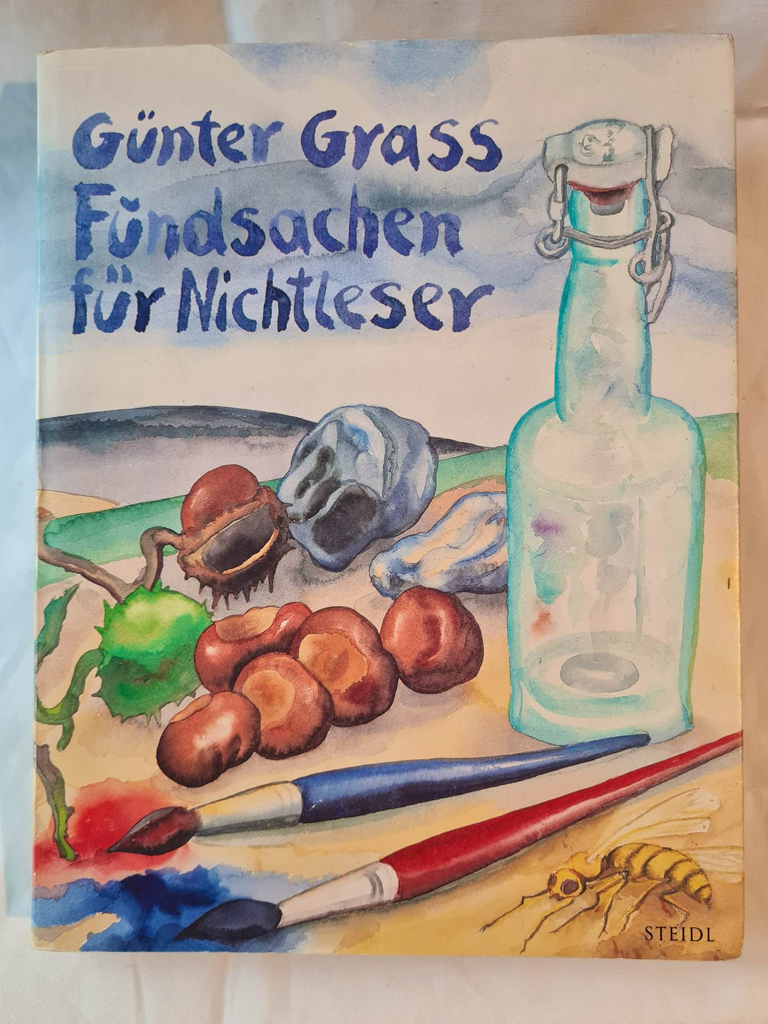 Gunter Grass - Fundsachen für Nichtleser, Buch 239 Seiten kopen? Bied vanaf 20!