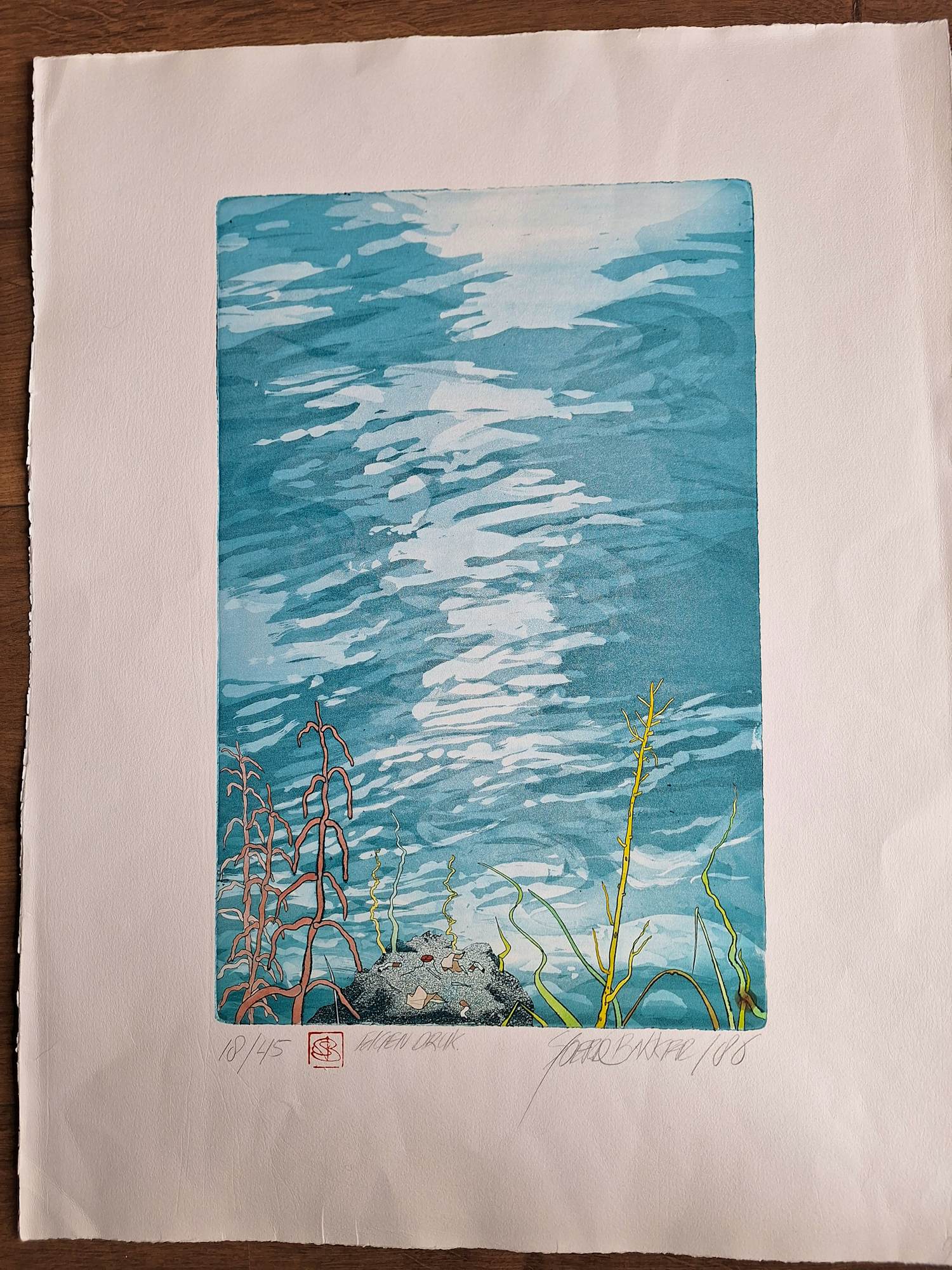 Sjoerd Bakker - Onbekend kopen? Bied vanaf 50!