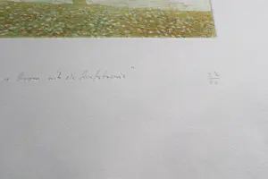 Eduard Flor - Fraaie handgekleurde diepdruk/reliëf Ets - kleine oplage (60) - potloodgesignrd kopen? Bied vanaf 47!