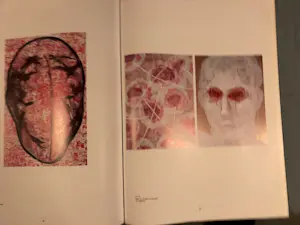 Zhuang Hong Yi - het monumentale werk kopen? Bied vanaf 80!